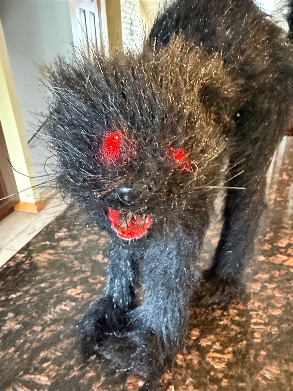 Black Plush Cat Halloween decor